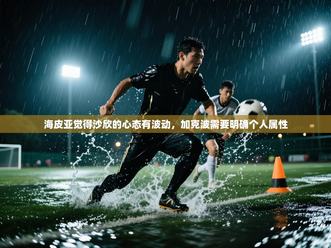 开云体育入口注册-海皮亚觉得沙欣的心态有波动,加克波需要明确个人属性 第3张