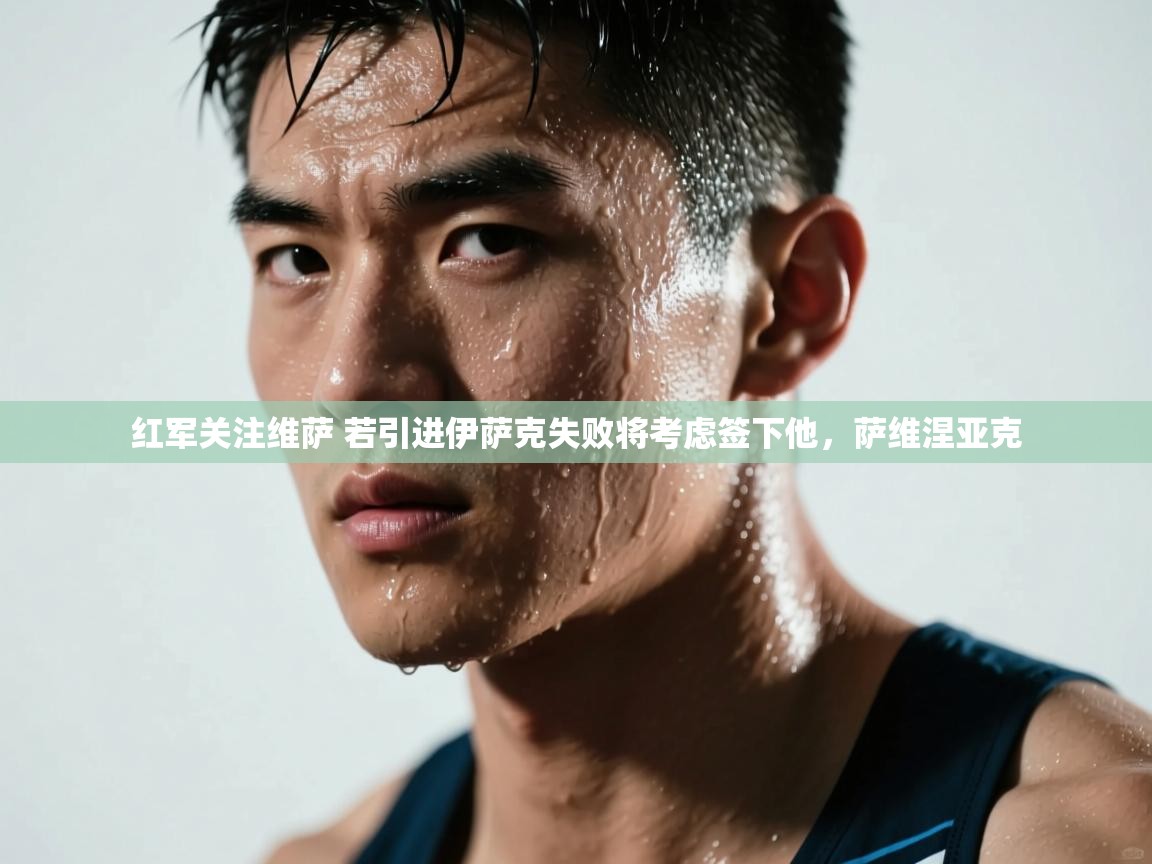 开云赛事-红军关注维萨 若引进伊萨克失败将考虑签下他,萨维涅亚克 第2张